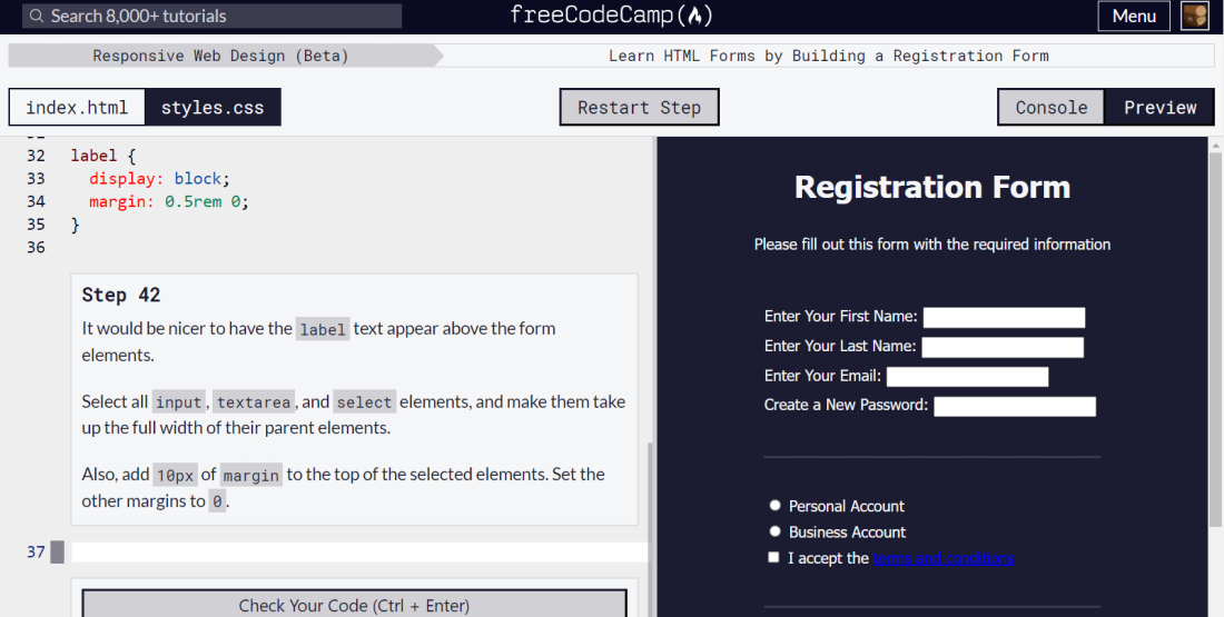 freeCodeCamp beta version screenshot